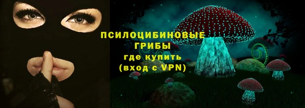 ГАЛЛЮЦИНОГЕННЫЕ ГРИБЫ Алзамай