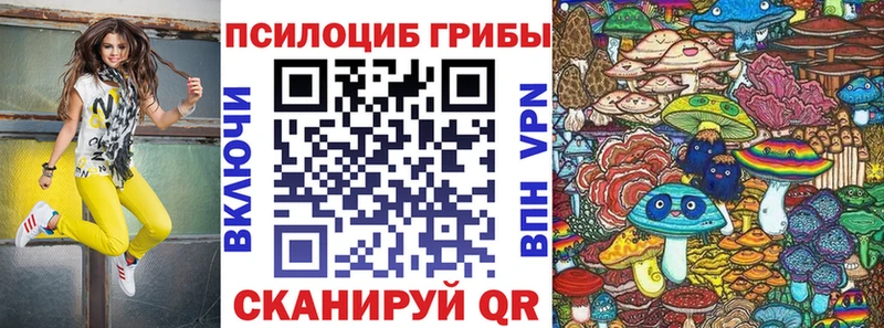 Купить Вуктыл Галлюциногенные грибы мицелий